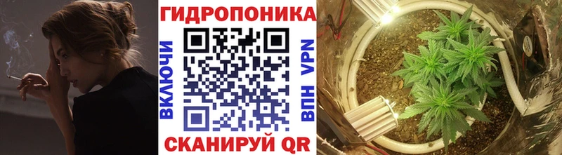Бошки Шишки THC 21% Октябрьск